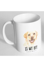 Is My Bff Labrador Retriever Resim Baskılı Kupa Bardak