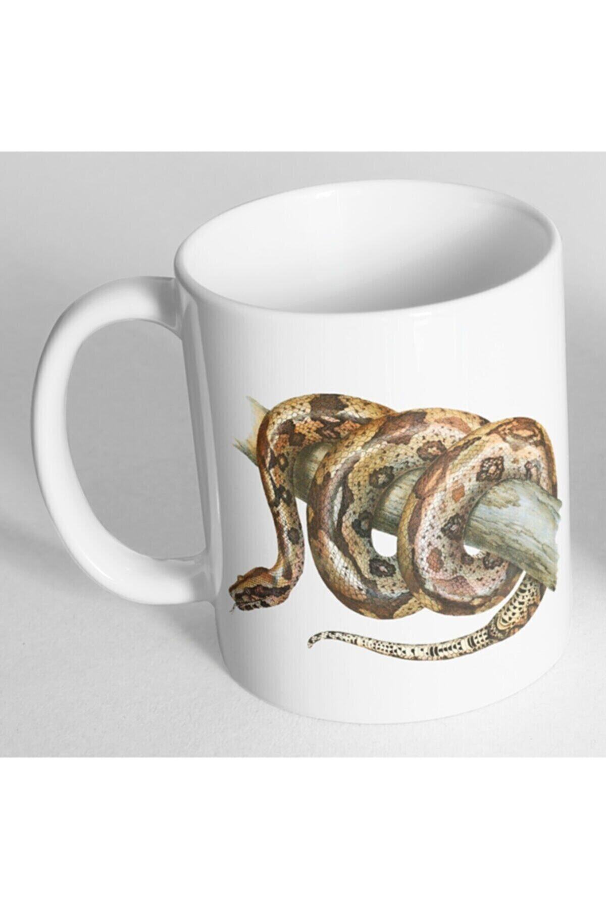 1_org_zoom-387.jpg Boa Snake Yılanı Baskılı Kupa Bardak - Görsel 1